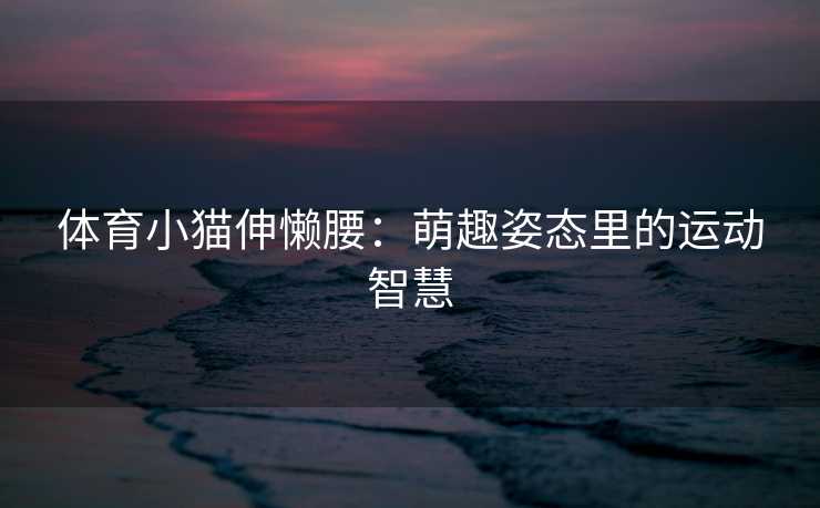 体育小猫伸懒腰：萌趣姿态里的运动智慧