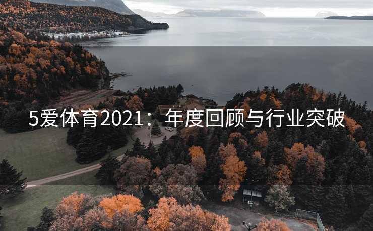 5爱体育2021:年度回顾与行业突破 5爱体育2021:年度回顾与行业突破
