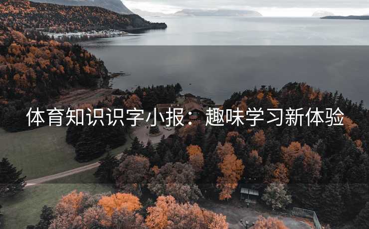 体育知识识字小报：趣味学习新体验
