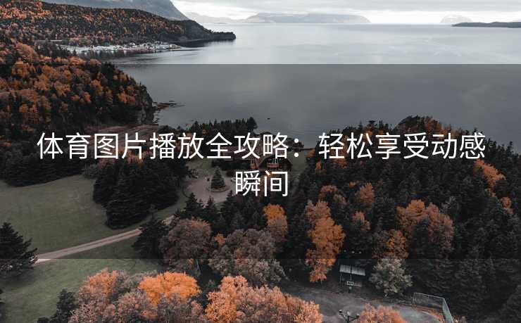 体育图片播放全攻略：轻松享受动感瞬间